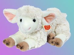 Lambs and Sheep